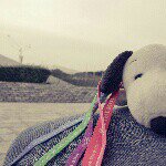 Profile_1180826_75sq_1380933041