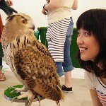 10995182_1543210172619401_1117879014_a