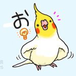 11381006_931600180230193_164921457_a