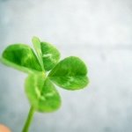 10520318_811272692225410_491571785_a