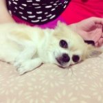 Profile_11767200_75sq_1390449463