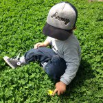 11098499_843518989018514_1679376234_a