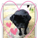 Profile_303907665_75sq_1360396846