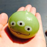 11142350_1080977421929062_734342701_a