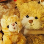 10948266_447203948761077_1782094769_a