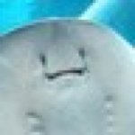 Profile_1202669289_75sq_1395766760