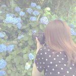 11312038_121719414831667_1818837204_a