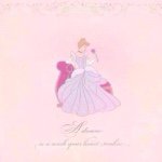 11375332_1428524957469786_1520209917_a