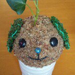 Profile_263322811_75sq_1359943948