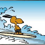 11379059_1416819228648632_1440053054_a