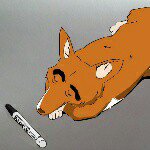 10995147_856968564345035_857614262_a