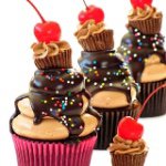 11085009_1599852136926342_820210089_a