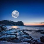 11049342_886118378078238_1568746320_a