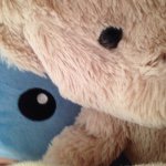 10932544_591027751032017_468179705_a