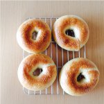 11269664_865301666851556_914673734_a