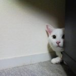 Profile_3487810_75sq_1356962144