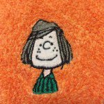 10729173_1486406554970100_956932075_a