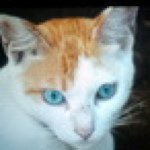 Profile_195902288_75sq_1342619385