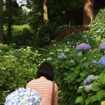 11378768_1596763100611331_839803112_a