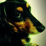 Profile_203597442_75sq_1344146243