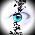 11419022_1126132424067242_1314402435_a