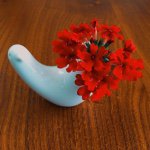 11374715_399632613573905_1604582541_a