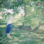 11376592_703853509719246_559978826_a