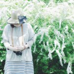 11192822_1640715739482863_986658268_a