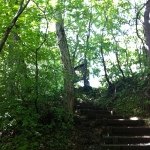 Profile_721715660_75sq_1386997335