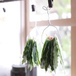 10932449_336797379851352_1734136253_a