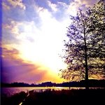 10369475_703617776362073_746892538_a