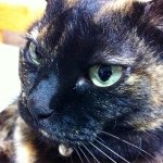 Profile_1027192237_75sq_1390808639