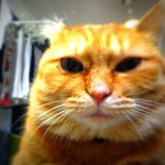 Profile_483177365_75sq_1374970807