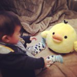 10848214_738122149613315_1691122223_a