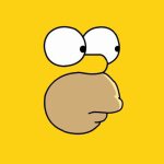 11375927_1443091432658922_832387528_a