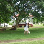 11334456_342979732492744_2044101758_a