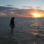 925946_974021592631531_2051552294_a