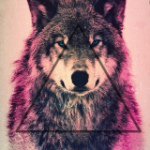 11357537_380120142182719_850223245_a