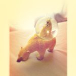 1662318_349993205167768_8697788_a