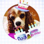 11374572_1597452843863893_2063035023_a