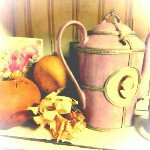 11259271_401421950049618_1853802698_a