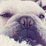 11191065_464489470369705_1178565077_a