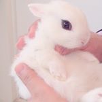 11378121_1451919591777530_1565232915_a