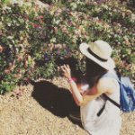 11313303_873987336014724_1461007359_a