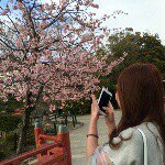 11094478_872111269516591_956035042_a