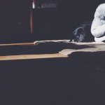 10838637_1582753191961771_345519408_a