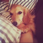 Profile_22005217_75sq_1349198355