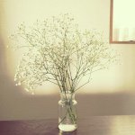 11055776_811857485554931_1164086726_a