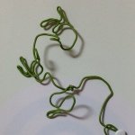 Profile_203519696_75sq_1389187403