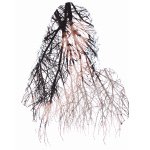 11191091_705610376234298_589832866_a